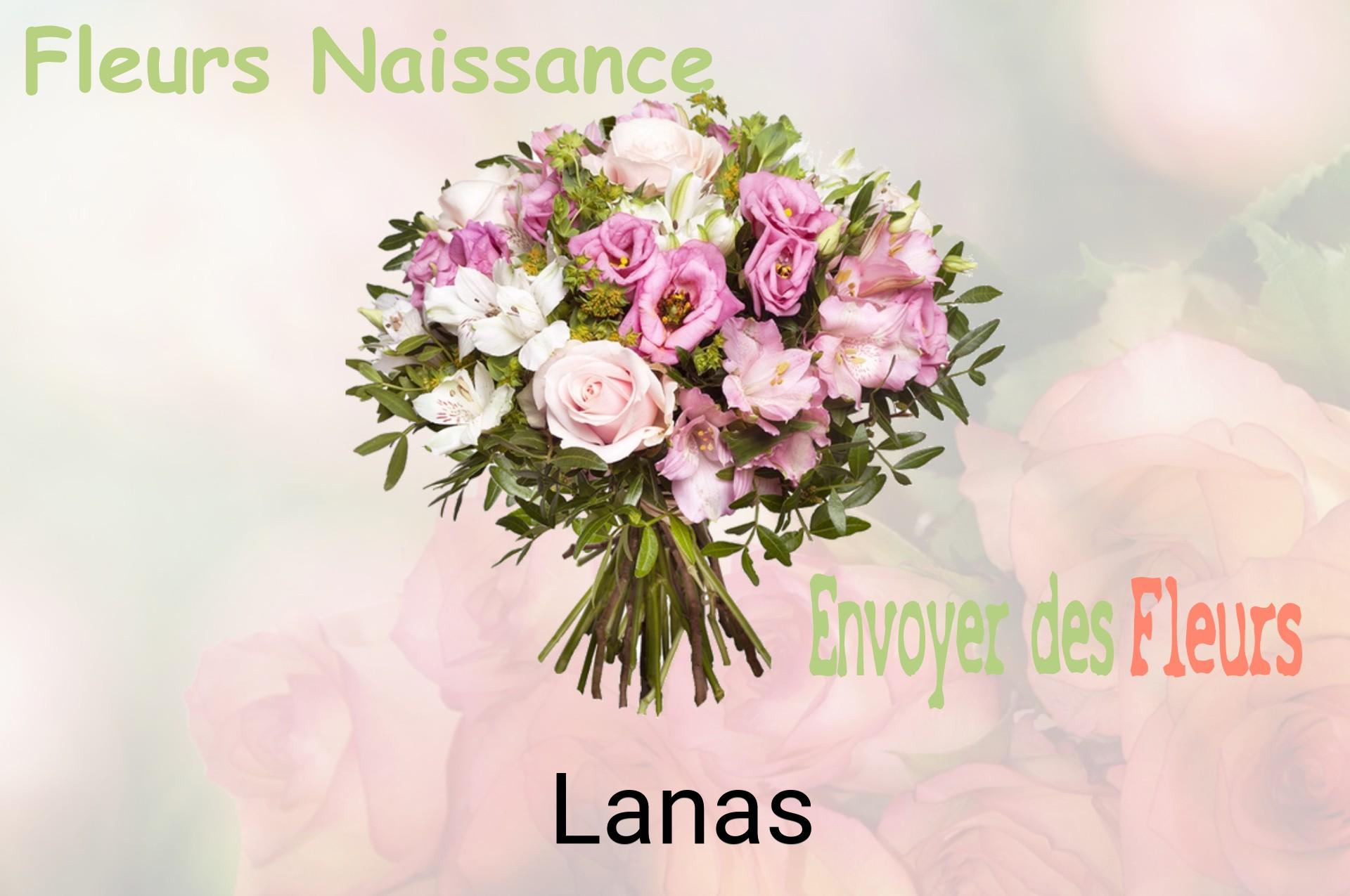 Bouquet de fleurs de naissance livré à Lanas