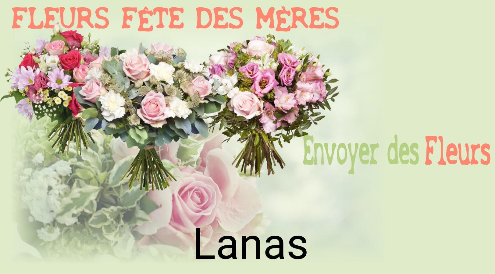 Bouquet de Fête des Mères livré à Lanas